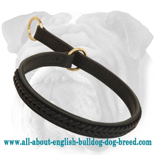Gorgeous Wide 2 Ply Leather Choke Dog Collar - Click Image to Close