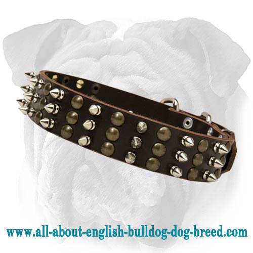 Bulldog Studed And Spiked Leather Dog Collar - Click Image to Close