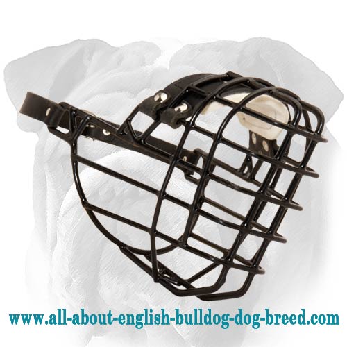 English Bulldog Wire Basket Dog Muzzle For Winter
