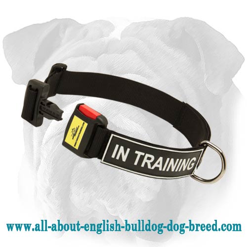 Nylon Collar With D Ring And ID Patch
