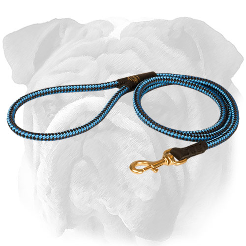 Blue nylon English Bulldog leash for daily walks