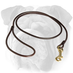 English Bulldog leash with durable brass snap hook
