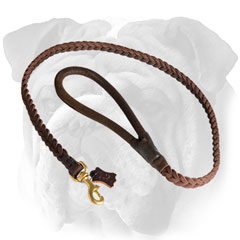 Stylish braided leather English Bulldog leash