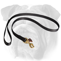 Leather Nappa padded English Bulldog leash