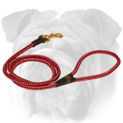 Cord nylon English Bulldog leash in bright colors