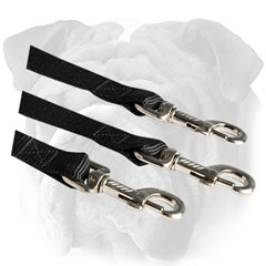 Extra reliable leash for English Bulldog with nickel  snap hooks