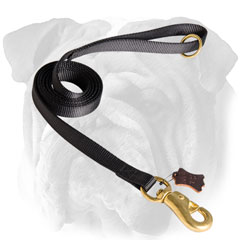 Nylon leash for English Bulldog resistant to water