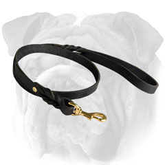 English Bulldog leash with braided adornment