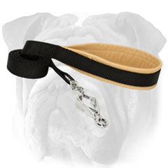 Nylon English Bulldog Lead with Handle