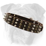 Bulldog Studed And Spiked Leather Dog Collar
