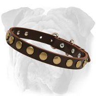 Outstanding Leather Dog Collar With Brass Studs