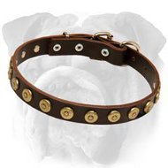 Durable Leather Dog Collar With Brass Dotted Circles