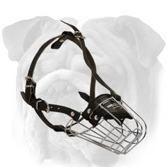 Metal Cage English Bulldog Muzzle with Secure Fixation