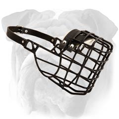 Wire Basket English Bulldog Muzzle with Rubber Coating