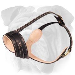 elegant leather muzzle