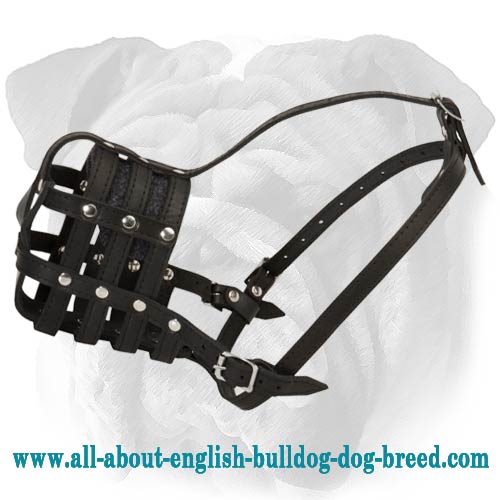 Cage  Canine Muzzle for English Bulldogs