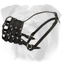 Cage  Canine Muzzle for English Bulldog