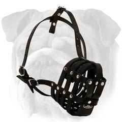 Black Leather Canine Muzzle