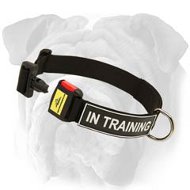 Nylon Collar With D Ring And ID Patch